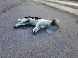 Foto: Portal La Brújula 24. Foto: Portal La Brújula 24.