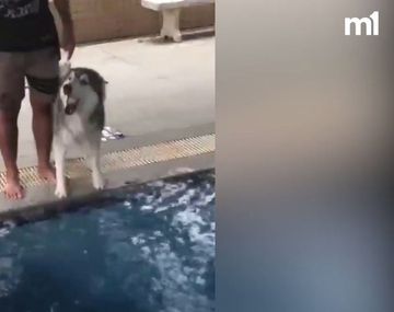 Un siberiano se volvió viral por el miedo que tenía de tirarse a la pileta&nbsp;