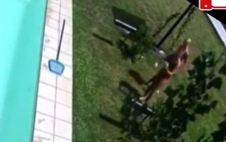 Coti recibió información de afuera de Gran Hermano: qué decía