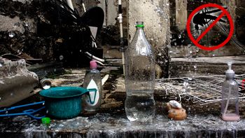 dengue: mitos y verdades para prevenir el contagio dengue: mitos y verdades para prevenir el contagio