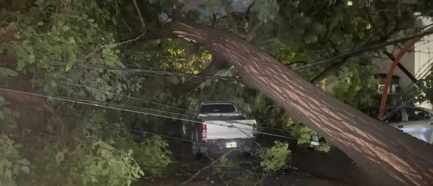 Desastre en Mendoza por un fuerte temporal de viento y granizo