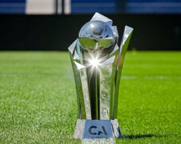 Cuánto dinero ganará el campeón de la Copa Argentina 