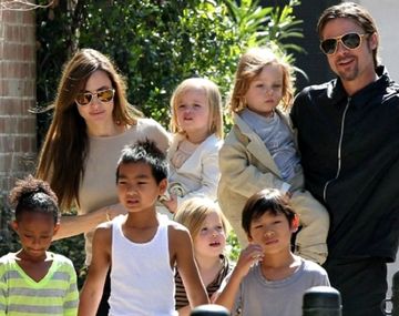 Brad Pitt peleará por la custodia de sus hijos