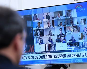 Votación vía app y control biométrico: la propuesta de home office para diputados