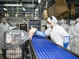 Durante 2022, las compras desde China rondaron los 7500 millones de dólares. Durante 2022, las compras desde China rondaron los 7500 millones de dólares.