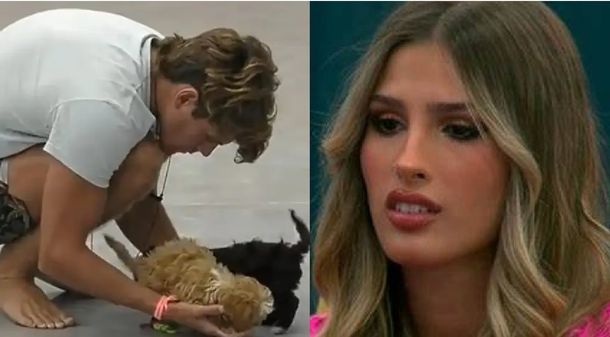 El intenso cruce entre Marcos y Julieta de Gran Hermano, por los perritos: ¿Por qué le hacés exclusión?