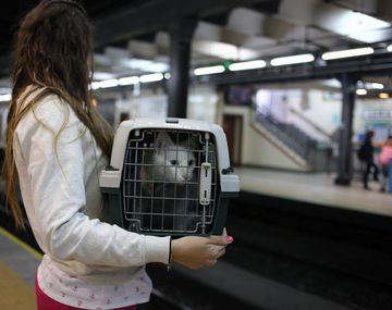 Las mascotas ya podrán viajar en Subte