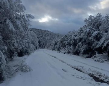 Aconsejan circular con precaución por fuertes nevadas en el Parque Nacional Nahuel Huapi