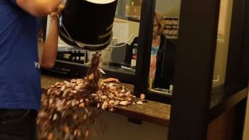 video: pago una multa de transito con 22 mil monedas de un centavo video: pago una multa de transito con 22 mil monedas de un centavo