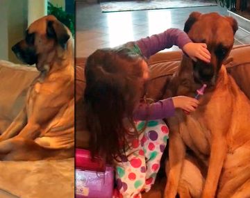 Qué ternura: nena juega al doctor con su perra 