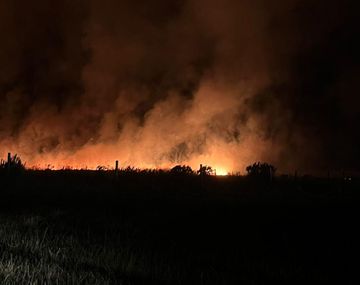 Incendios en Mar del Plata afectan más de 200 hectáreas.