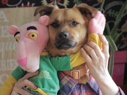 La versión más tierna de Despacito La versión más tierna de Despacito