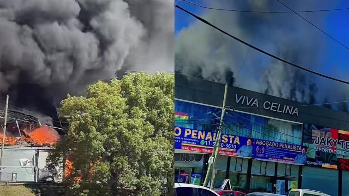 Imagen noticia completa