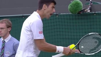 video: ¿la grua le llevo el auto? sacado, djokovic le grito a una alcanzapelotas video: ¿la grua le llevo el auto? sacado, djokovic le grito a una alcanzapelotas