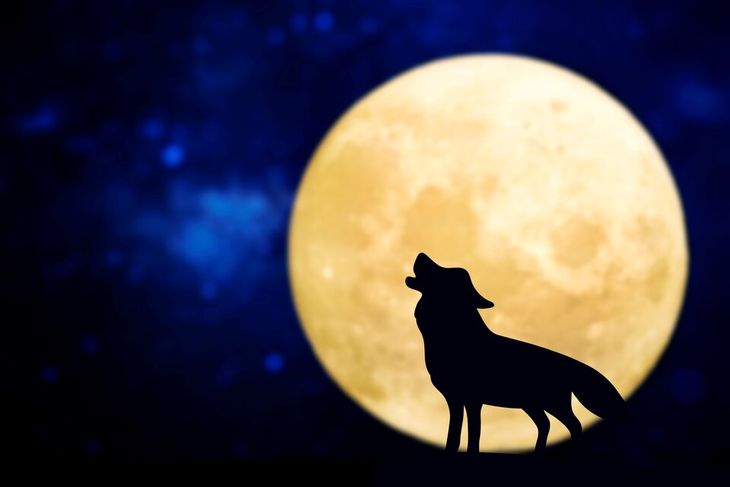 Todo lo que tenés que saber sobre la Luna del Lobo