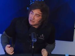 La nueva catarata de exabruptos de Javier Milei La nueva catarata de exabruptos de Javier Milei