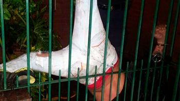 Así quedó colgado el hombre