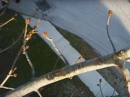 accidentes espectaculares de drones accidentes espectaculares de drones