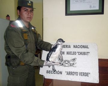 Gentileza diario Jornada.