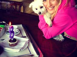 luisana lopilato le regalo zapatos su perro y lo filmo luisana lopilato le regalo zapatos su perro y lo filmo
