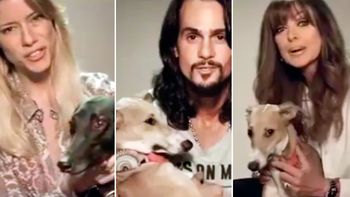 video: conmovedora campana de los famosos contra las carreras de galgos video: conmovedora campana de los famosos contra las carreras de galgos