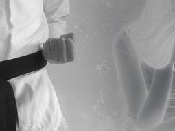 Profesor de artes marciales acusado de abuso Profesor de artes marciales acusado de abuso