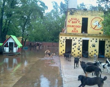 Un refugio de animales quedó bajo el agua