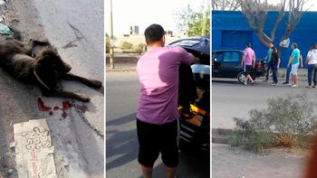 desalmado: ataron con una cadena a un perro y lo arrastraron con un auto desalmado: ataron con una cadena a un perro y lo arrastraron con un auto