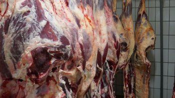 Mayorista de carne de Esteban Echeverría vende medias reses para abaratar los precios