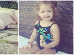 el tierno video de la hija de wanda nara con su nueva mascota el tierno video de la hija de wanda nara con su nueva mascota