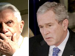 Papa-bush
