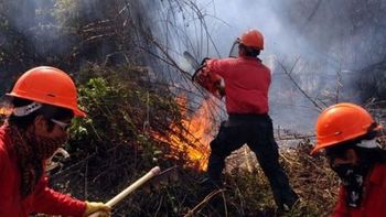 un incendio forestal arraso con 1500 hectareas en catamarca un incendio forestal arraso con 1500 hectareas en catamarca