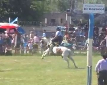 Un caballo murió en medio de una doma en Chubut