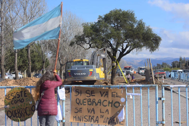 La remoción de un árbol centenario causó un estallido social en una localidad de Córdoba: ¿qué pasó?
