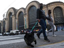 Se ameseta la curva: confirman 163 nuevos casos en Argentina
