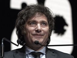 se desploma la imagen positiva de javier milei en las encuestas se desploma la imagen positiva de javier milei en las encuestas