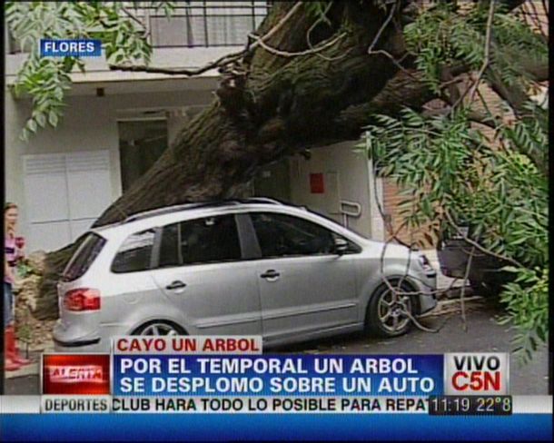 Un árbol se cayó por el temporal y destruyó un auto 0KM