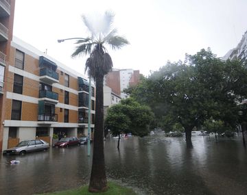¿Quiénes son los famosos afectados por el temporal?