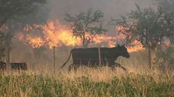 Así es el incendio en La Pampa