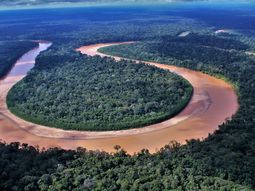 Brasil sigue arrasando la Amazonia: en un año, creció 60% la deforestación