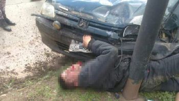 Gentileza InfoZC Gentileza InfoZC