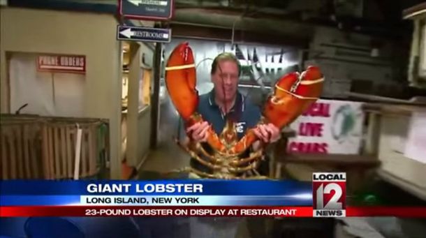Encuentran en Nueva York una langosta de 95 años que pesa más de 10 kilos