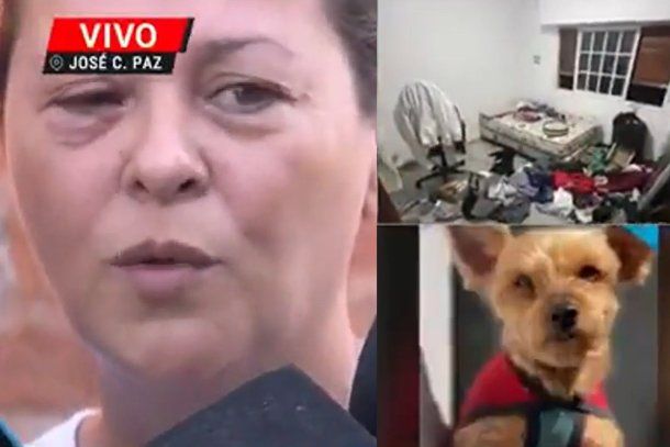 Violento robo en José C. Paz: golpearon a una mujer y se llevaron a su perro