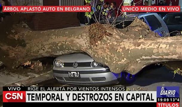 VIDEO: Así terminó un auto por la caída de un árbol en Belgrano