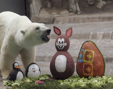 Conmoción en las redes por la muerte del oso polar Winner