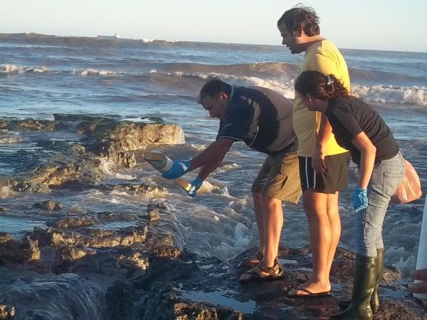 Ambientalistas de Quequén piden una solución a la contaminación