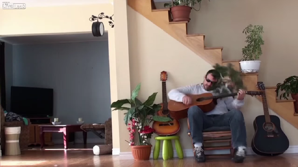 Karma: él molesta a un gato, pero el gato le tira una maceta en la cabeza