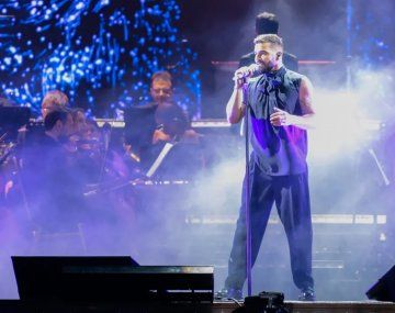 Ricky Martin en Vélez: una plaga de piojillos atacó al público