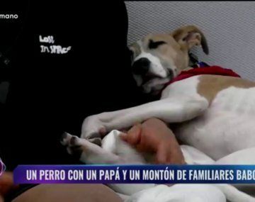 Martín eliminado de GH: qué va a pasar con Arturo