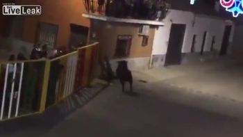 video: filmaba un encierro de toros y murio corneado video: filmaba un encierro de toros y murio corneado
